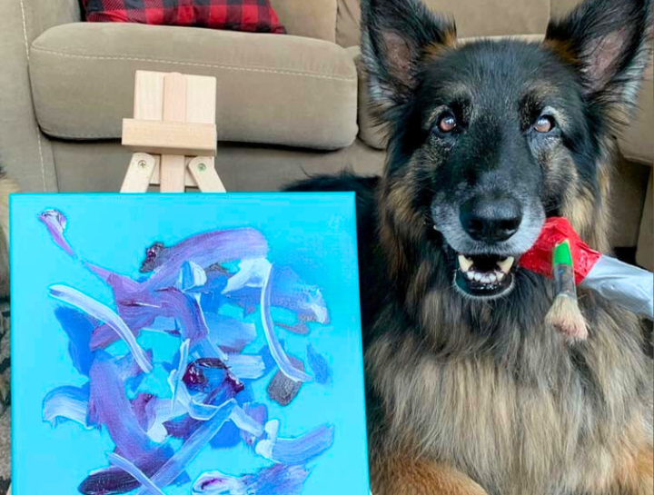 Painting for a Cause